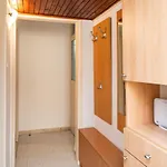 Joky Apartament *